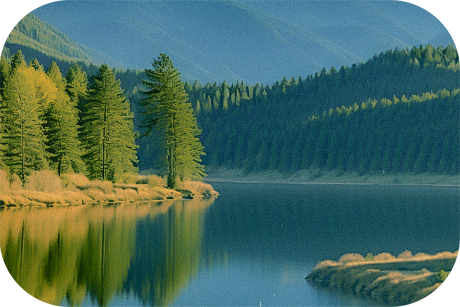 FR_Website_New_Art06_03
